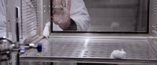 初恋小白鼠_初恋小白鼠第33话正版_初恋小白鼠1234