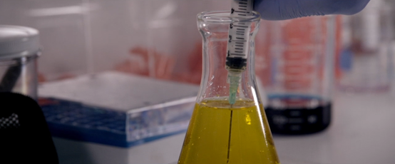 初恋小白鼠_初恋小白鼠第33话正版_初恋小白鼠1234