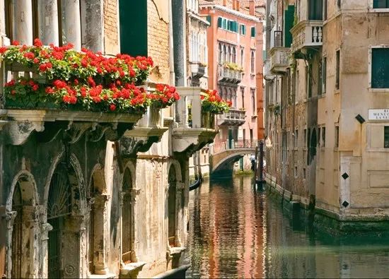 与“steel”相遇在意式优雅(图12) 图片